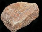 Rough Agatized Dinosaur Bone - Ounces #25529-2